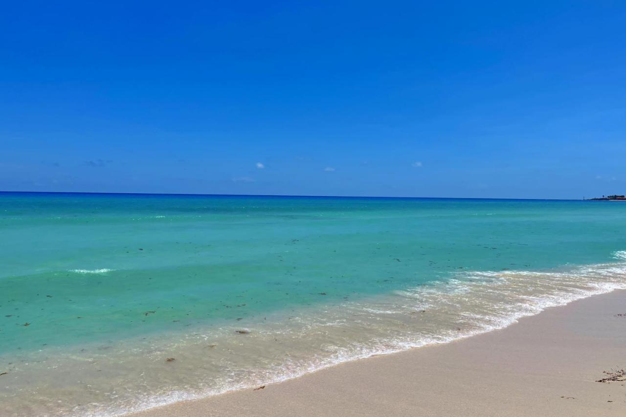 Renovated Studio In Cancun Beach At The Hotel Zone Eksteriør bilde